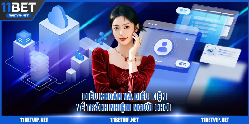 Tuân thủ điều khoản và điều kiện về trách nhiệm người chơi