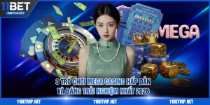 Mega Casino