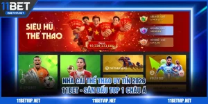 Nhà Cái Thể Thao Uy Tín 2026